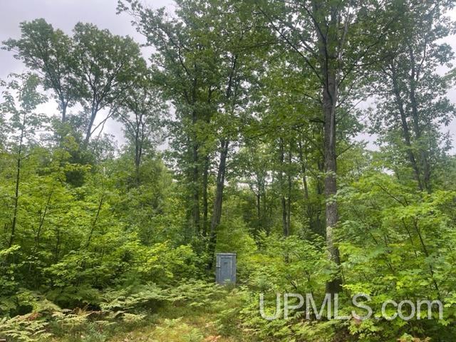 565 County Road 565 Road Gwinn, MI 49841 - Photo 24 of 35