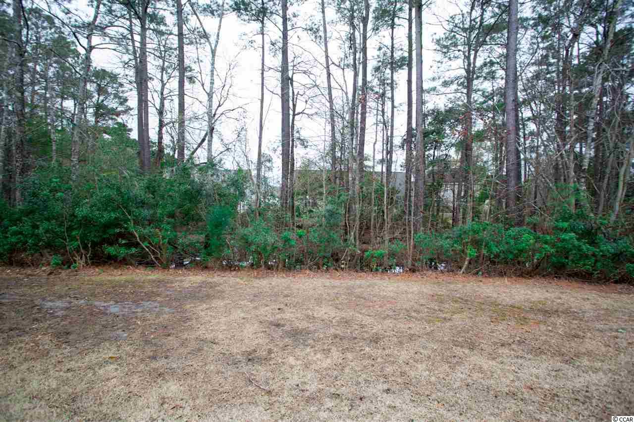 616 Indigo Bunting Lane, Unit D Murrells Inlet, SC 29576 - Photo 21 of 25 Gallery Image 21