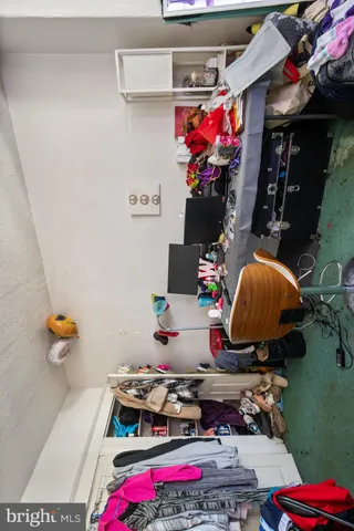 a room with furniture and a potted plant