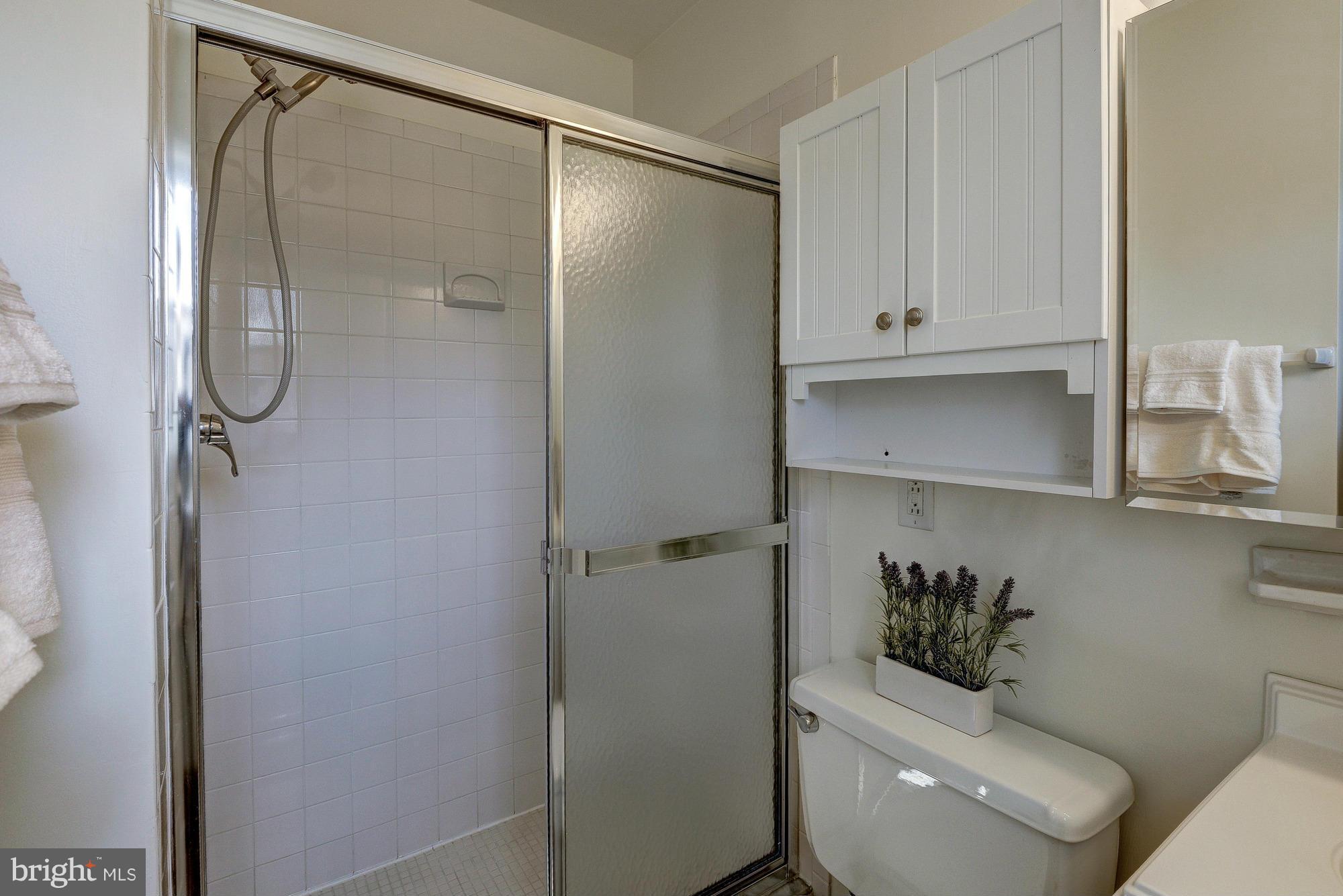 8307 Brixton Street Springfield, VA 22152 - Photo 13 of 30 Master Bathroom