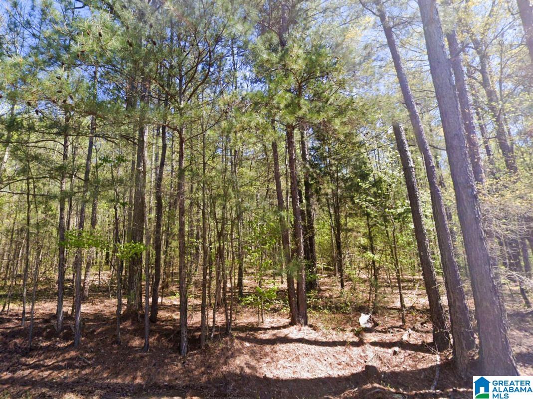 5565 Red Robin Road Sylacauga, AL 35151 - Photo 7 of 15
