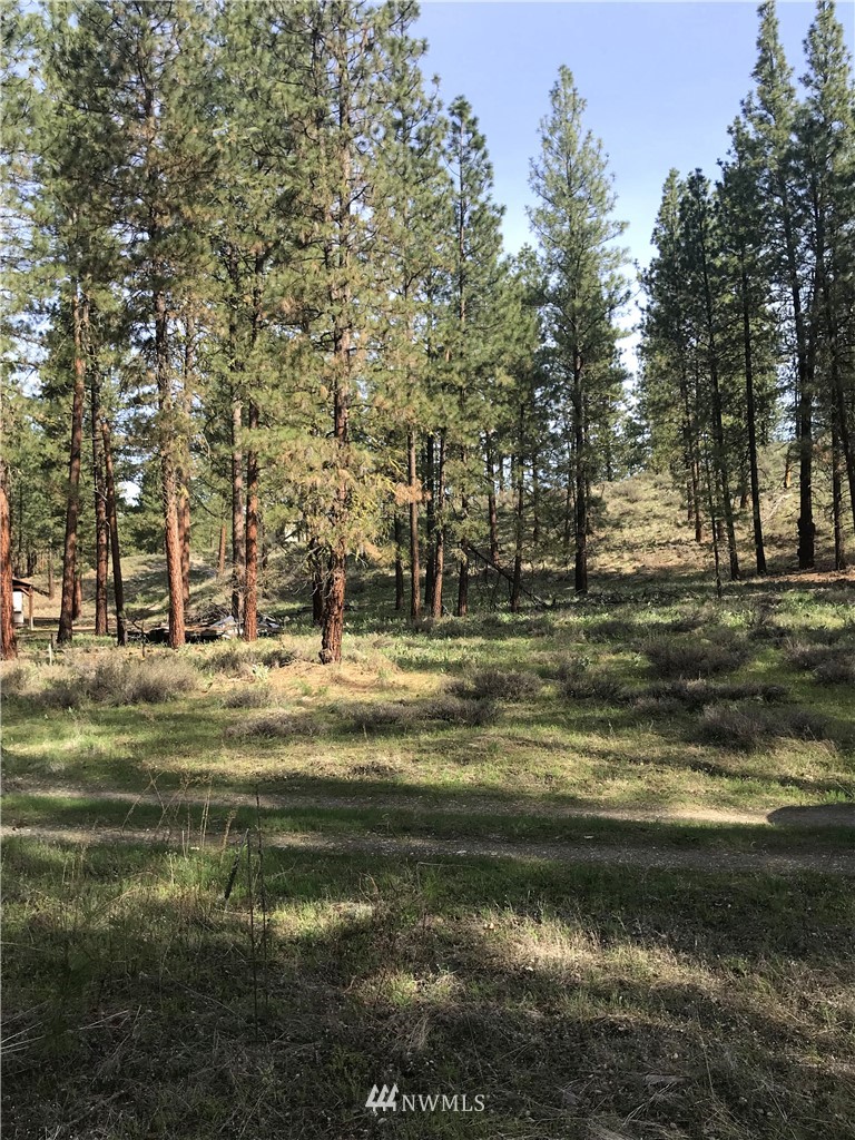 9 Spring Beauty Road Winthrop, WA 98862 - Photo 14 of 23 Gallery Image 14