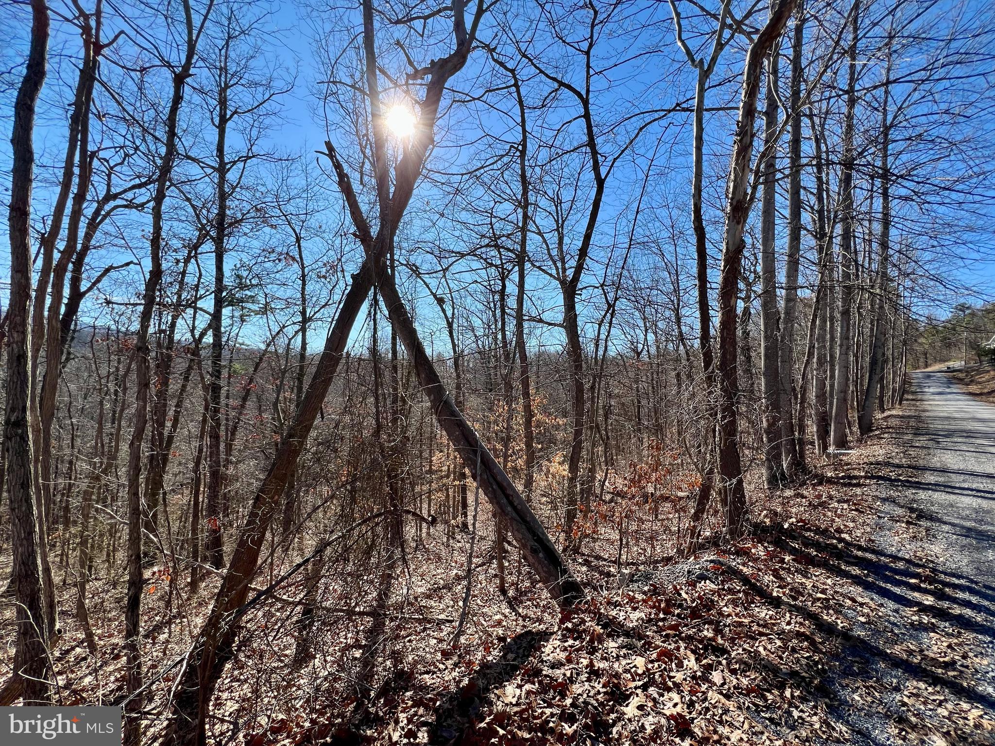 0 Old Oregon Road Front Royal, VA 22630 - Photo 1 of 3 Awesome Lot with Great Access
