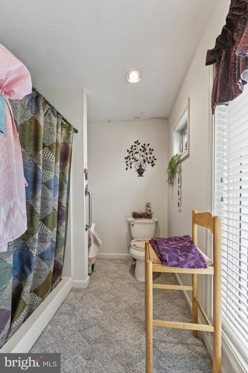 795 Hideaway Farms Road Edinburg, VA 22824 - Photo 23 of 57