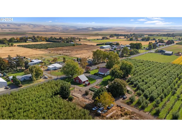 a view of house with a garden