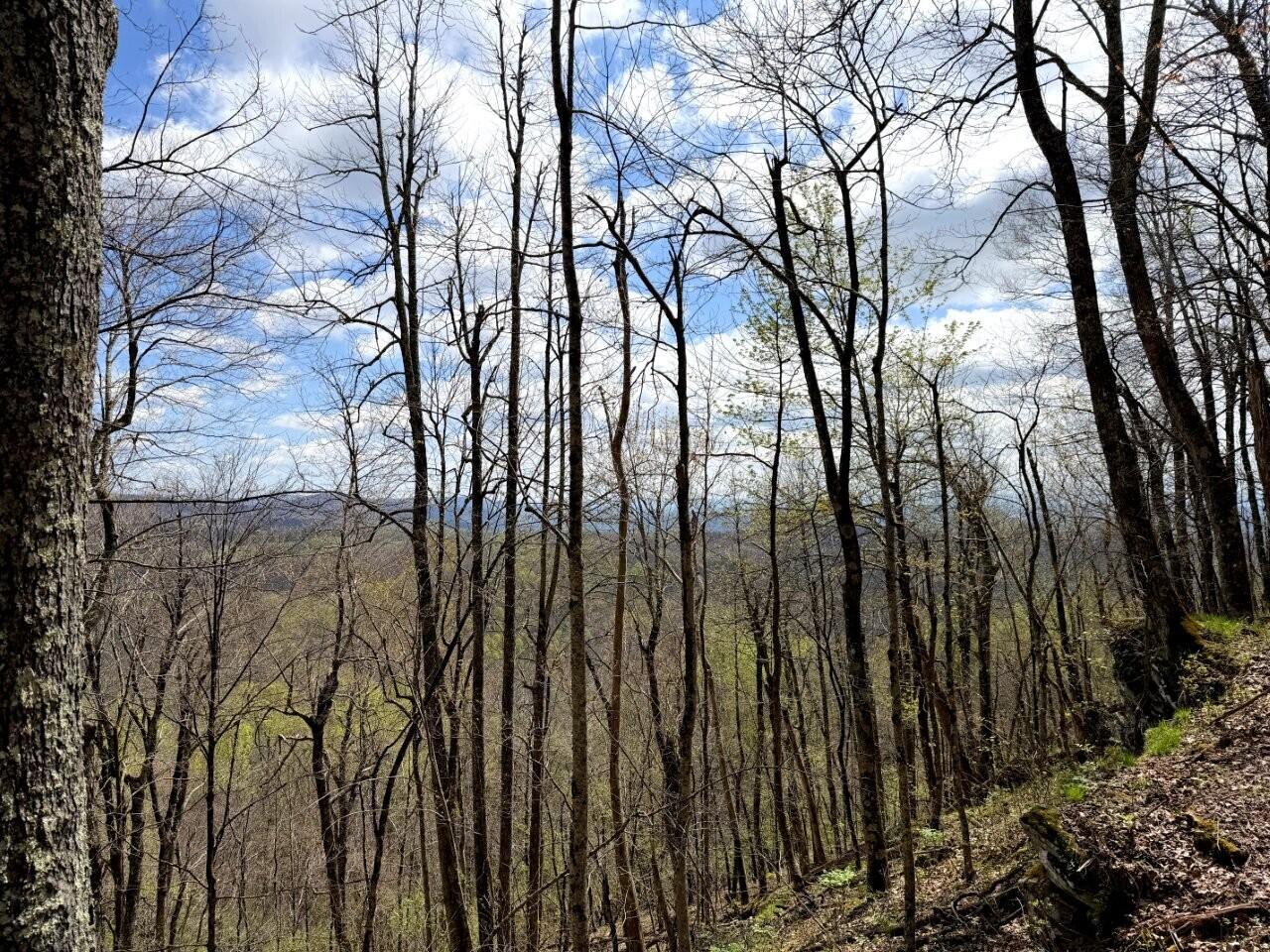 0 Iona Road White Oak, WV 25989 - Photo 68 of 150 Tract-14-IMG_3685