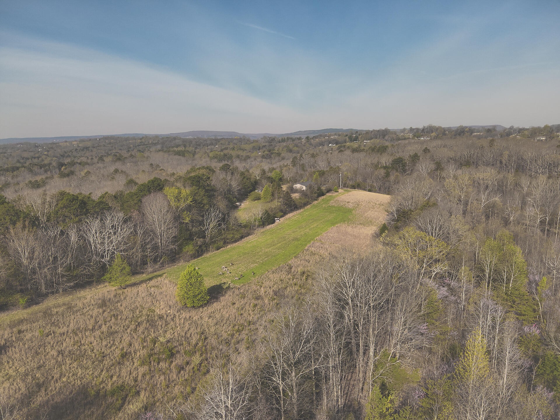 527 Dyer Hollow Road Dayton, TN 37321 - Photo 43 of 61 Gallery Image 43