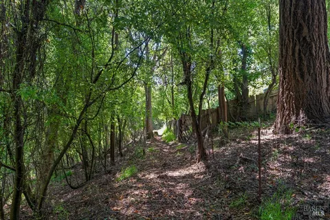 a view of forest