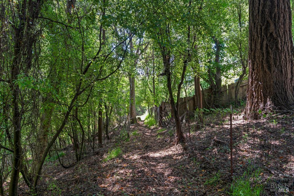 90 Laurel View Way Inverness, CA 94937 - Photo 36 of 37