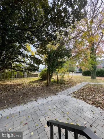 a view of a yard with plants and trees