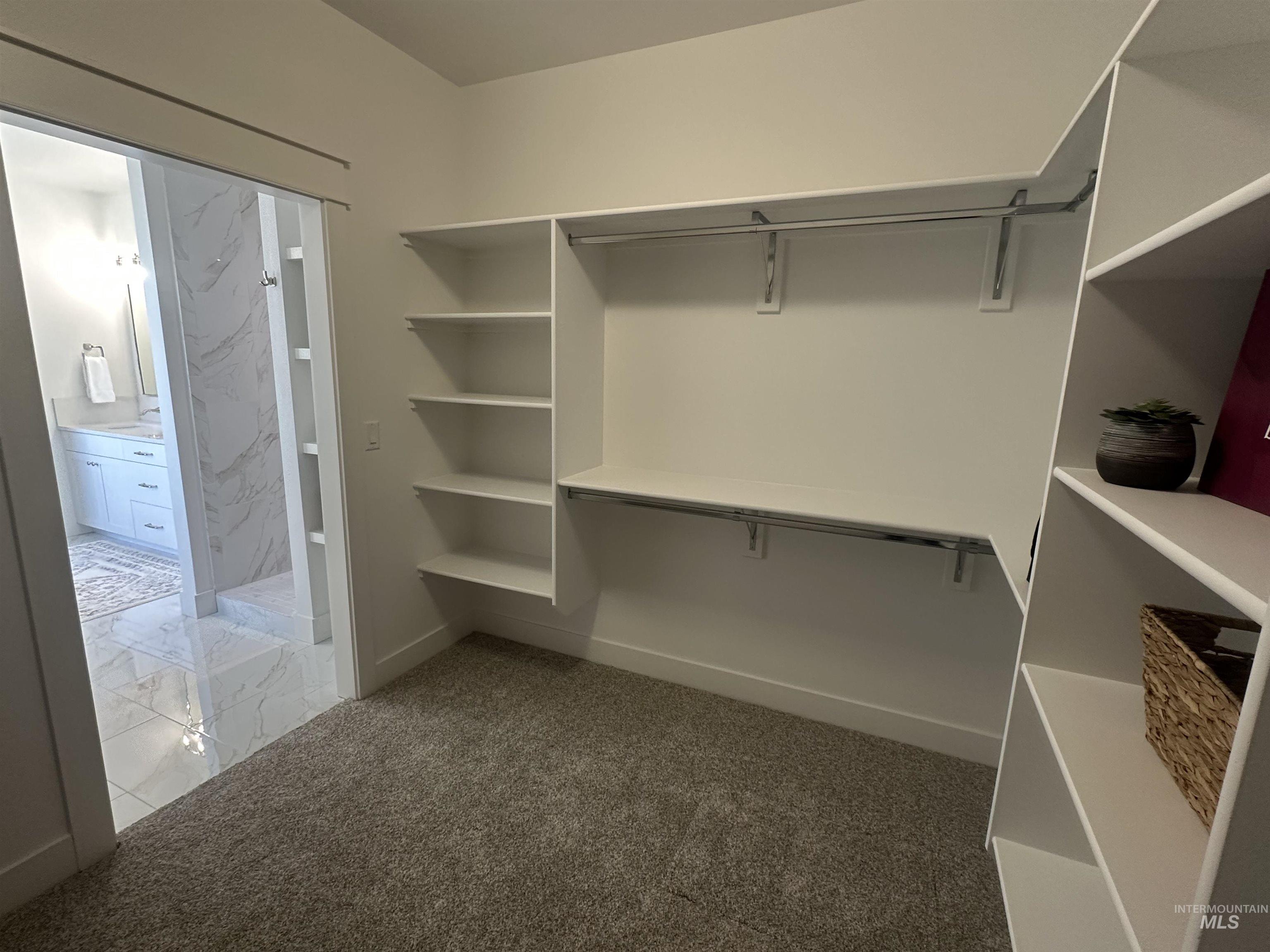 3035 Lake View Twin Falls, ID 83301 - Photo 29 of 41 Room with plush gray carpeting, white walls, and a large window