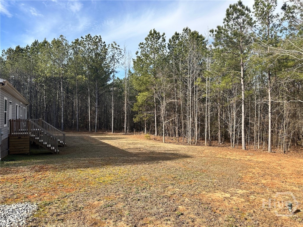 295 Berkeley Road Carlton, GA 30627 - Photo 35 of 43