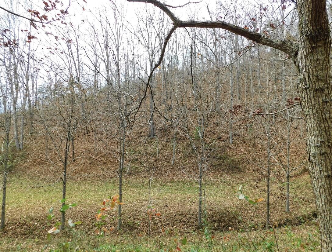 8690 Beattyville Road Jackson, KY 41339 - Photo 119 of 143 8F7771E3-9B7F-4E38-9C5F-1D26EC2FC48C