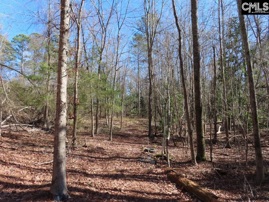 0 Rion Road Winnsboro, SC 29180 - Photo 16 of 42