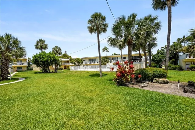 a view of a park with palm trees