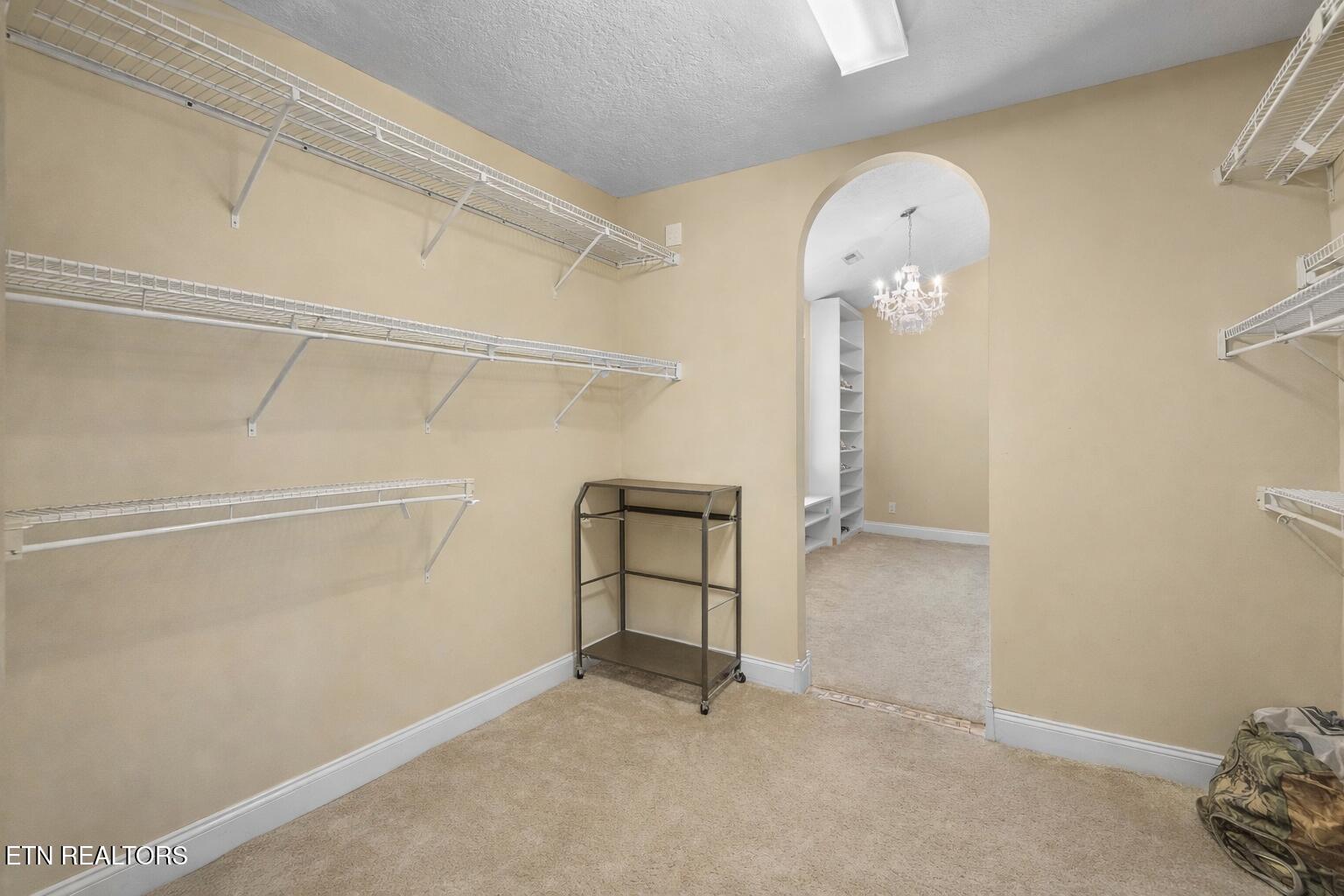 268 Windstone Boulevard Powell, TN 37849 - Photo 17 of 39 Walk in Closet 1