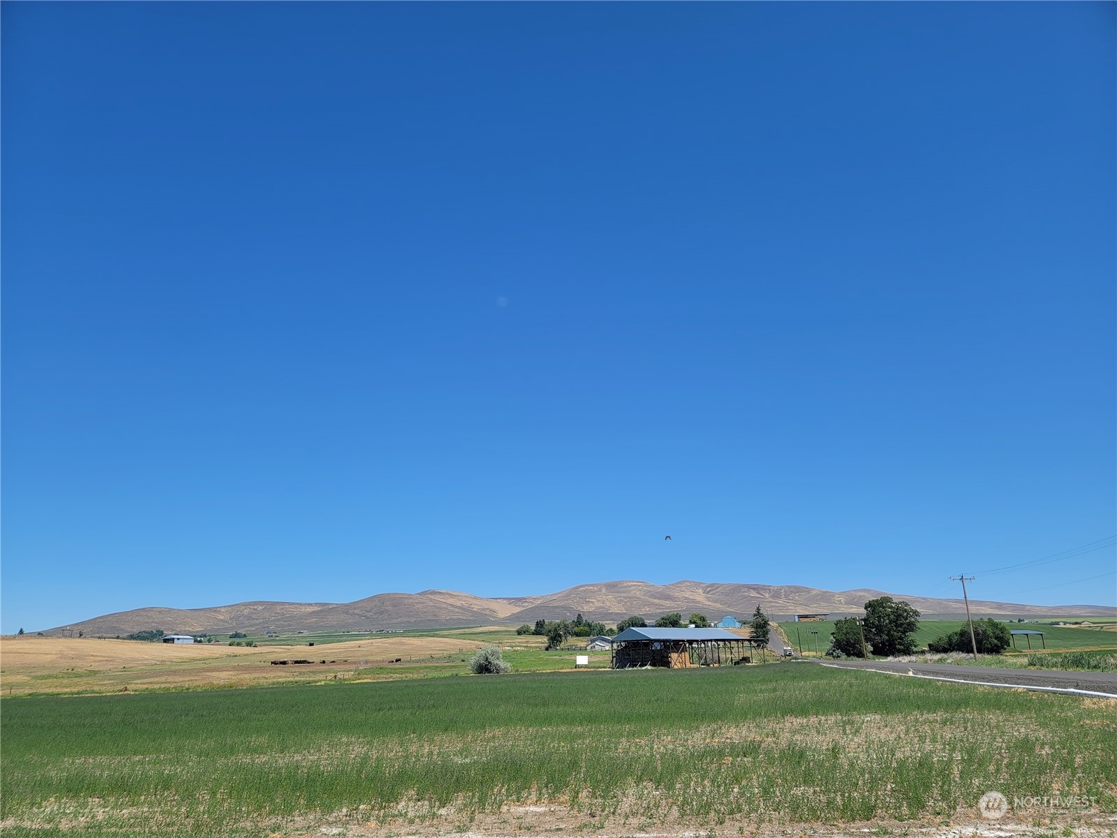 111-xx Morrison Road Ellensburg, WA 98926 - Photo 3 of 6 Gallery Image 3