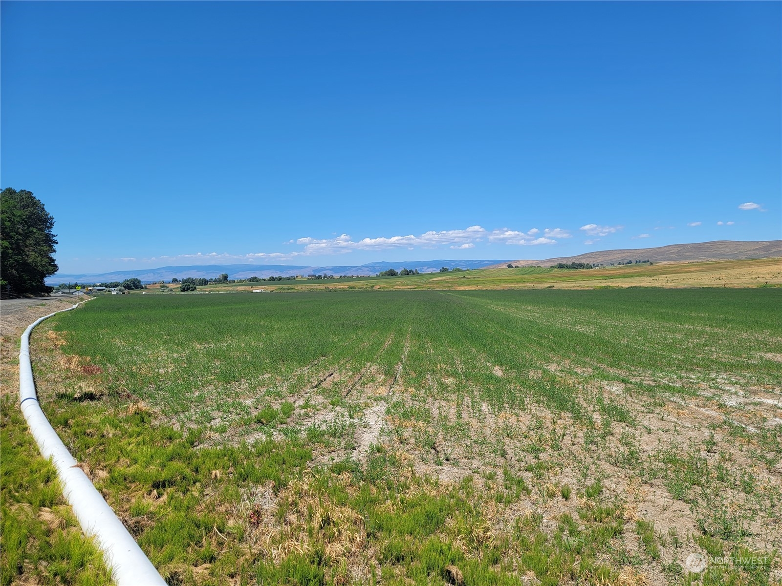 111-xx Morrison Road Ellensburg, WA 98926 - Photo 4 of 6 Gallery Image 4