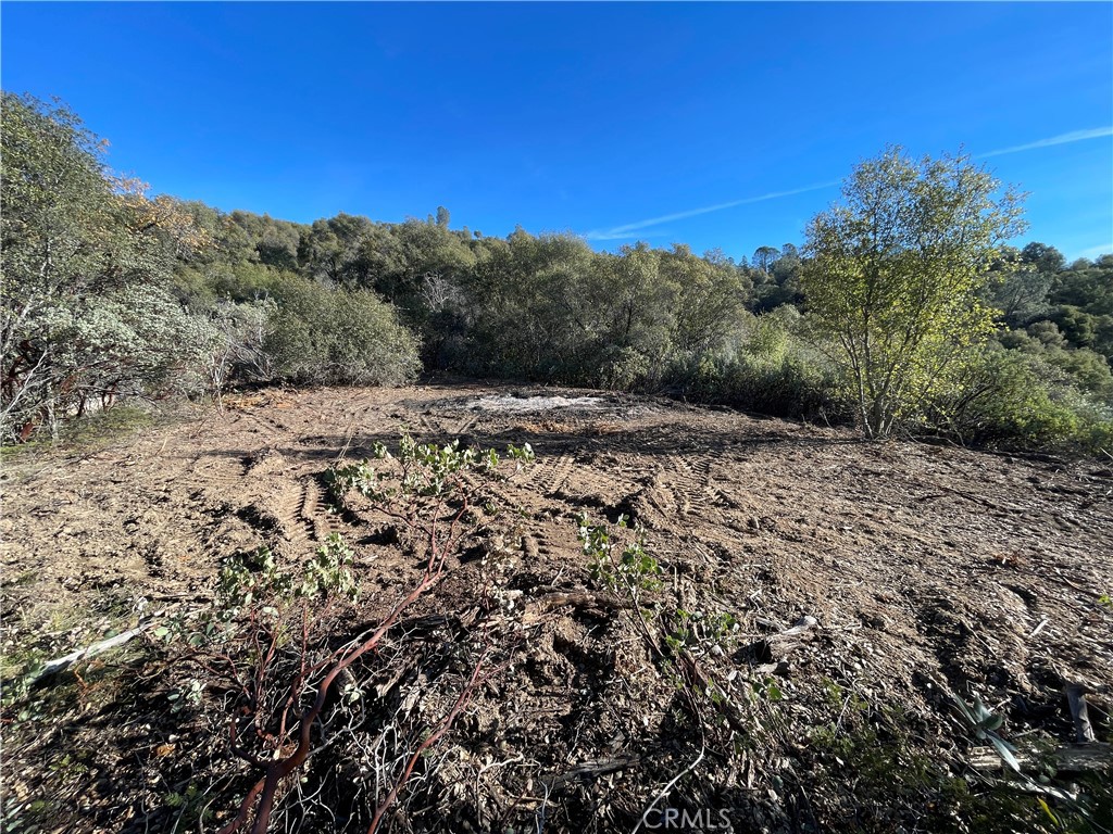 20 Harris Cut Off Road Mariposa, CA 95338 - Photo 2 of 10 a view of a yard