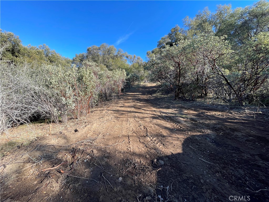20 Harris Cut Off Road Mariposa, CA 95338 - Photo 5 of 10 a view of dirt yard with a large tree