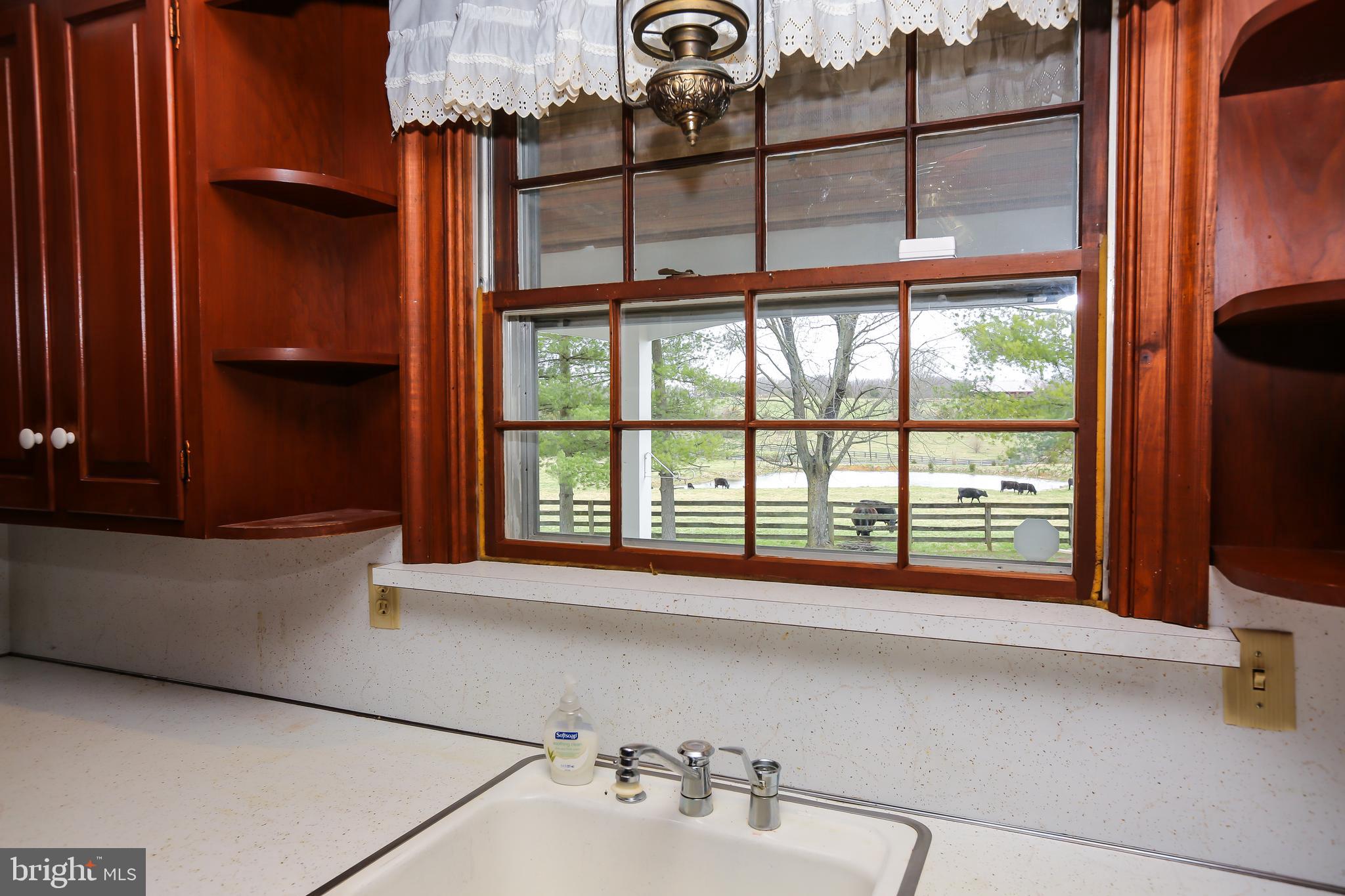 3019 Pyletown Road Boyce, VA 22620 - Photo 21 of 45 View overlooking pastures & pond