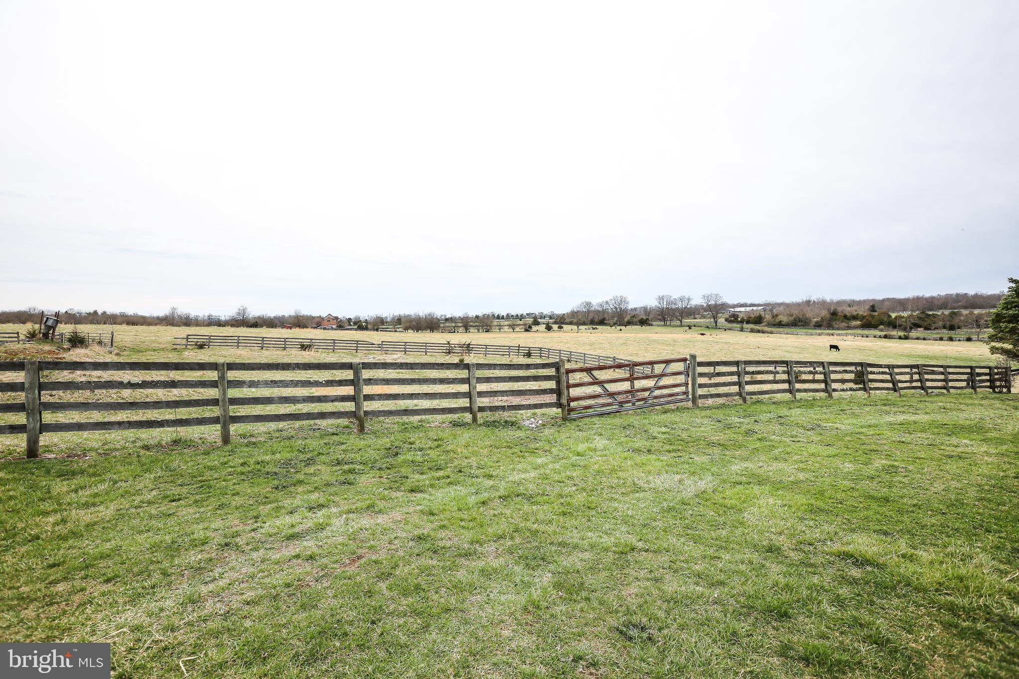 3019 Pyletown Road Boyce, VA 22620 - Photo 42 of 45 Side pastoral view