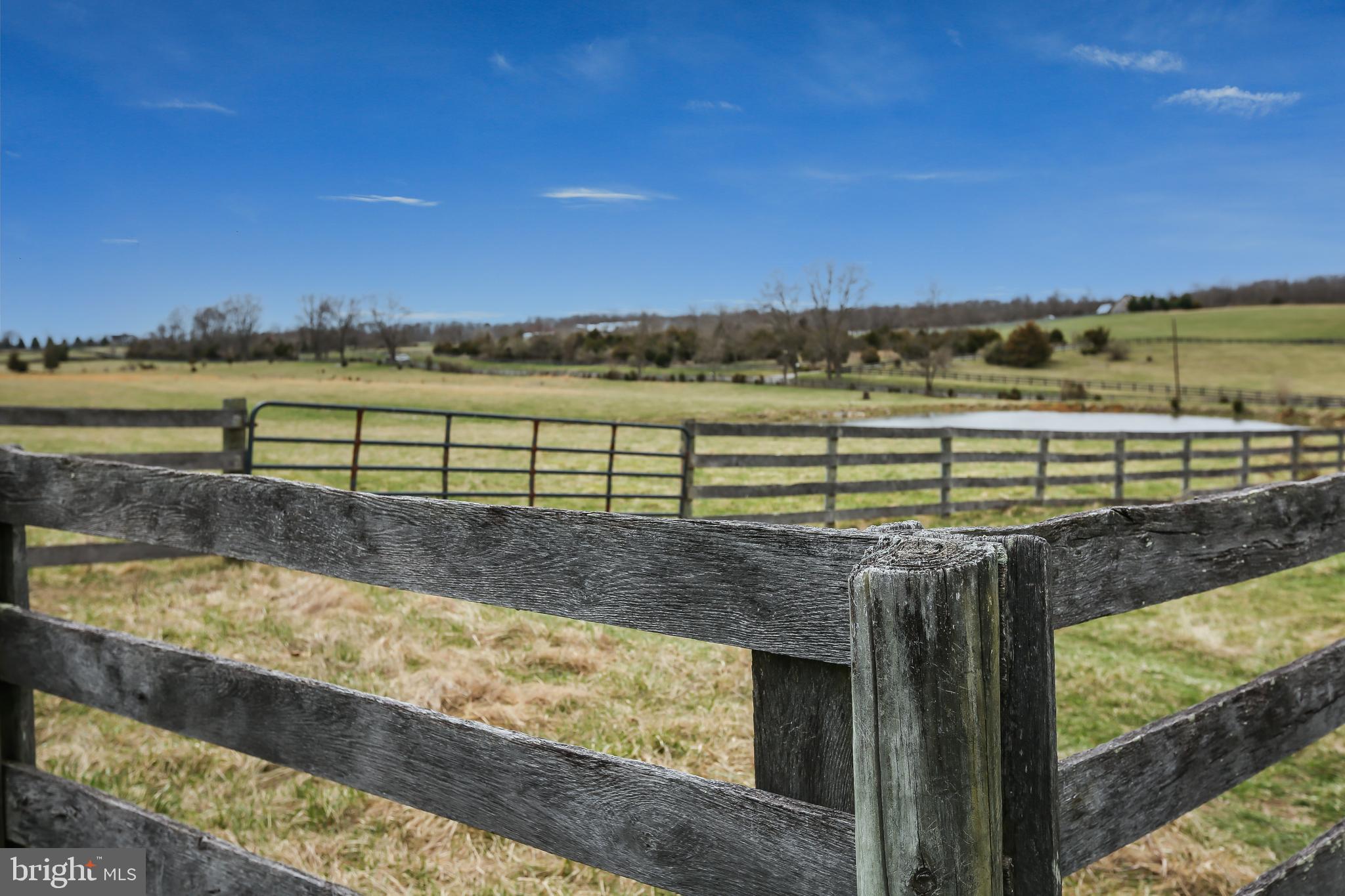 3019 Pyletown Road Boyce, VA 22620 - Photo 43 of 45 Front pastoral view w/ pond