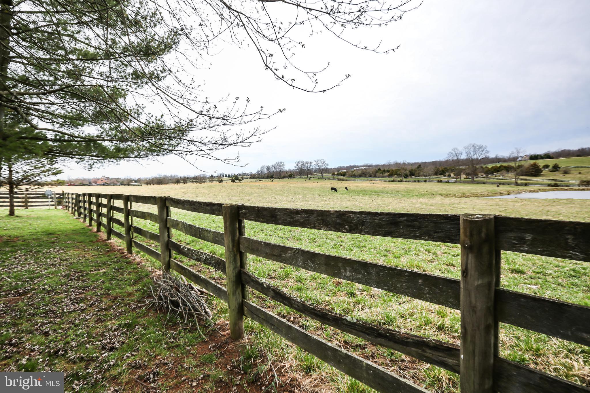 3019 Pyletown Road Boyce, VA 22620 - Photo 45 of 45 Pastoral view