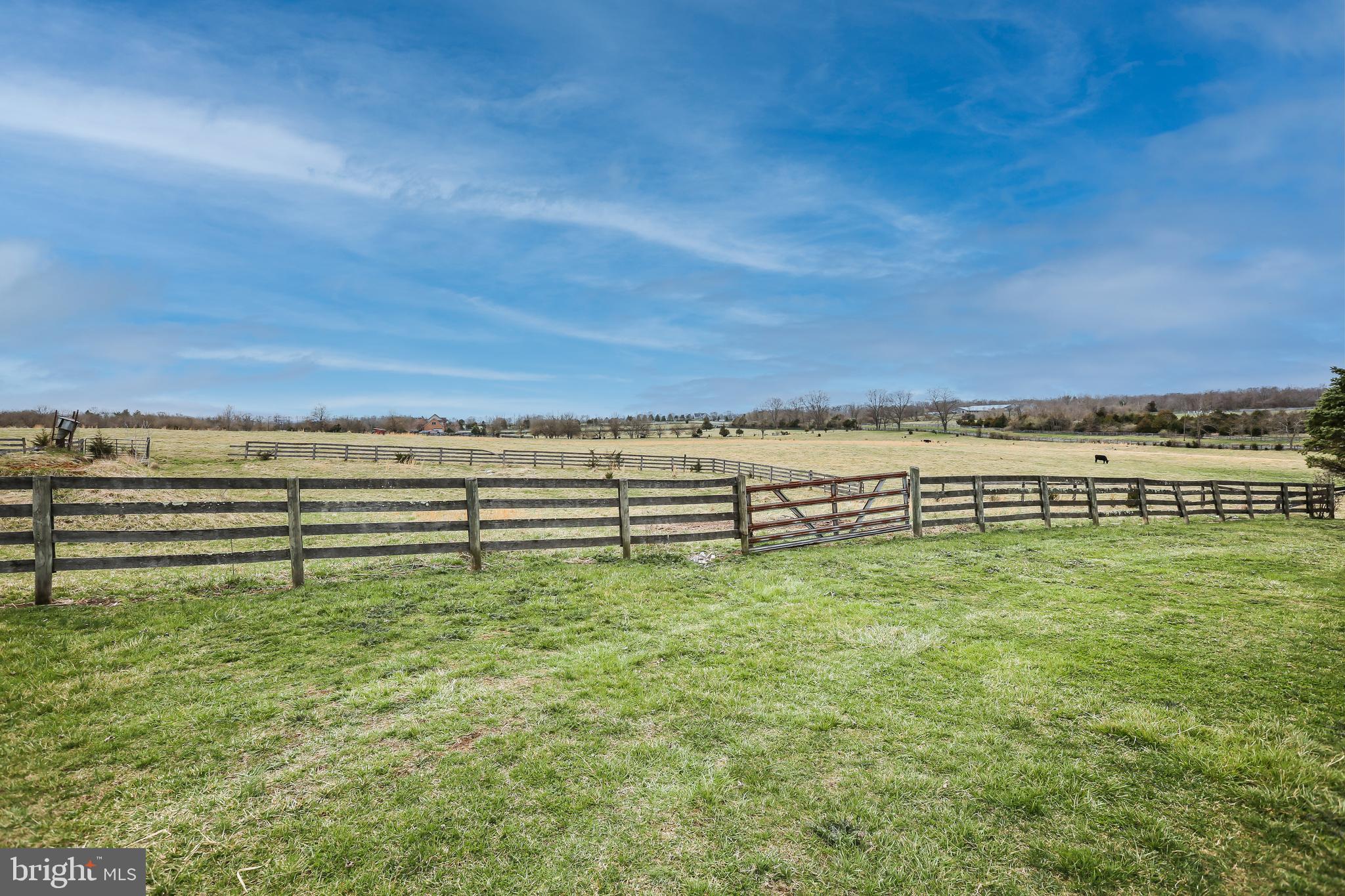 3019 Pyletown Road Boyce, VA 22620 - Photo 9 of 45 Pasture view