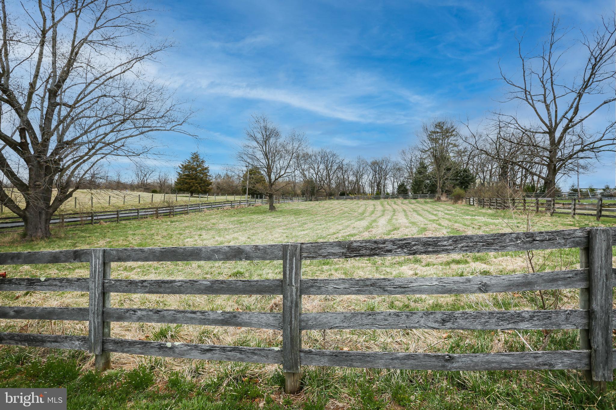 3019 Pyletown Road Boyce, VA 22620 - Photo 10 of 45 Side field (Great hay field)