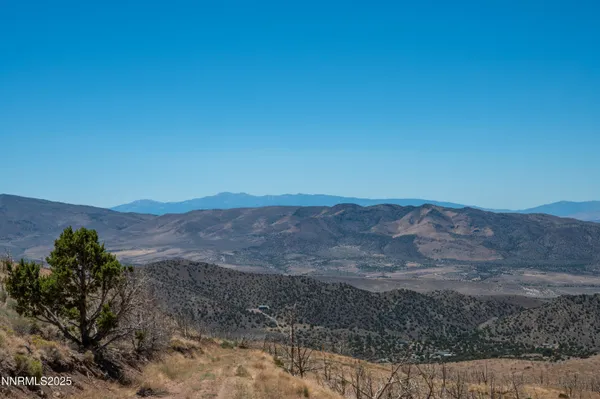 a view of a dry yard with mountains in the background