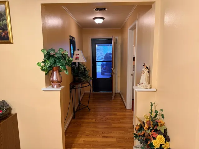 a hallway with beautiful frames and flower plant