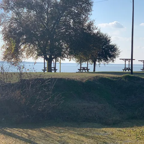 a view of dirt yard with a large tree