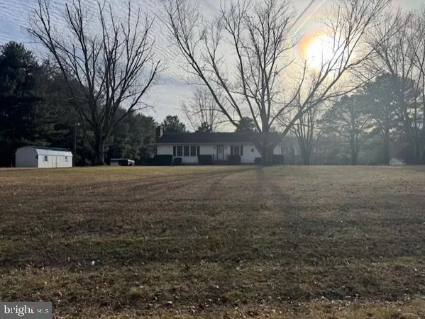 a view of yard with tree