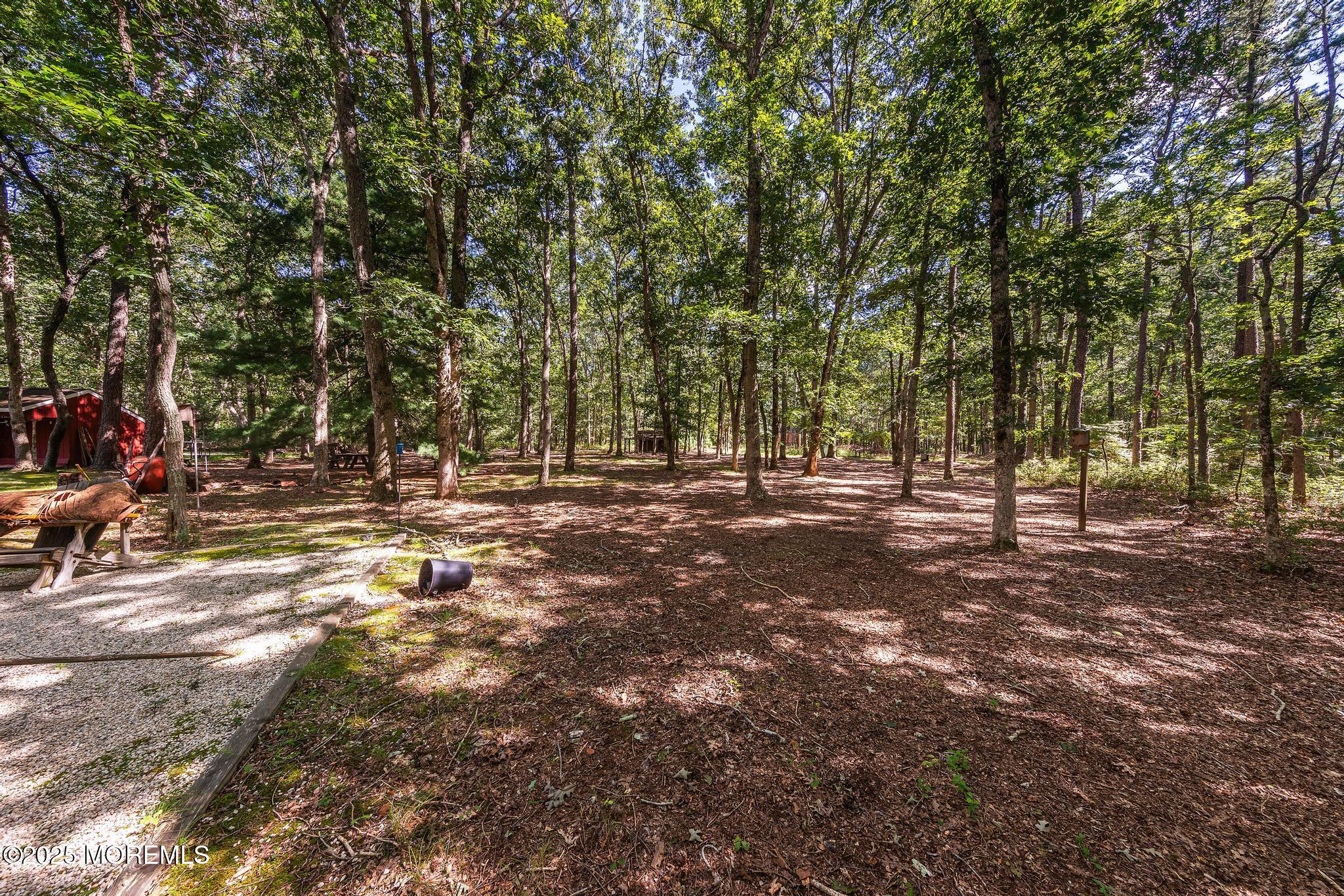 739 Nugentown Road Little Egg Harbor, NJ 08087 - Photo 59 of 80 Privacy!