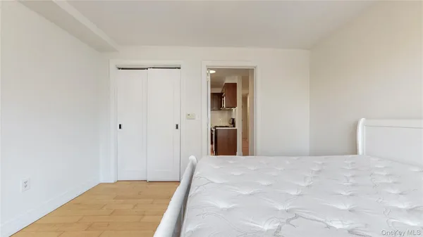 a view of a big room with closet and front door