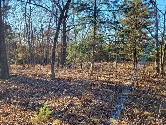 $24,500 | Wolcott Circle, Unit 3823 3824 & 39123915, Edwards, MO 65326