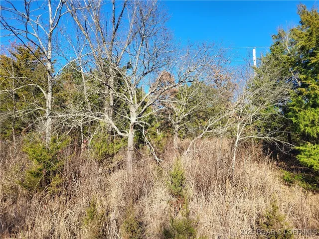 $24,500 | Wolcott Circle, Unit 3823 3824 & 39123915, Edwards, MO 65326