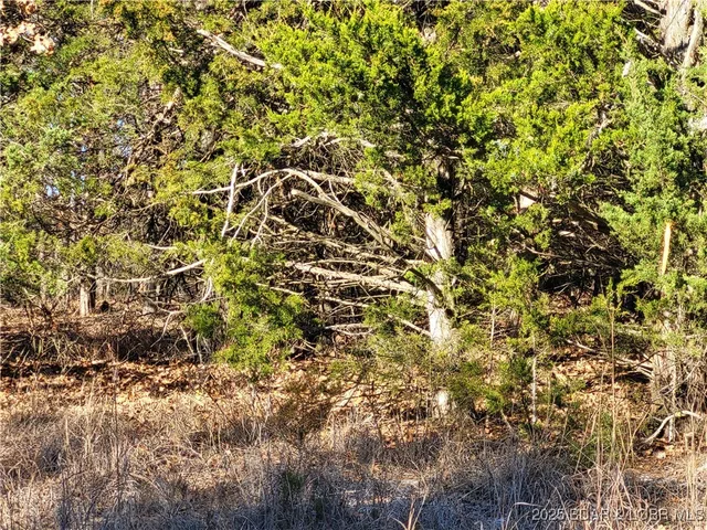 $24,500 | Wolcott Circle, Unit 3823 3824 & 39123915, Edwards, MO 65326