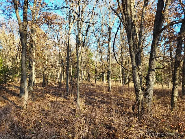 $24,500 | Wolcott Circle, Unit 3823 3824 & 39123915, Edwards, MO 65326