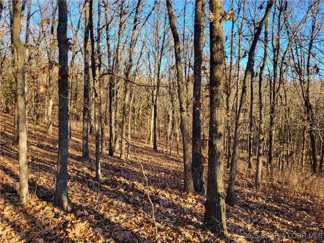 $24,500 | Wolcott Circle, Unit 3823 3824 & 39123915, Edwards, MO 65326