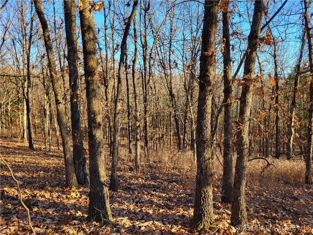 $24,500 | Wolcott Circle, Unit 3823 3824 & 39123915, Edwards, MO 65326