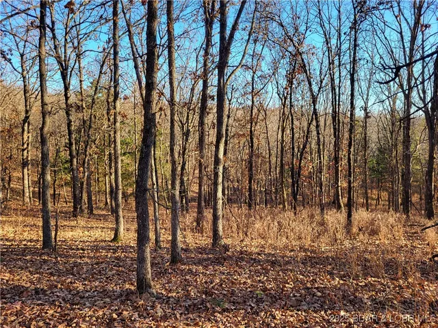 $24,500 | Wolcott Circle, Unit 3823 3824 & 39123915, Edwards, MO 65326