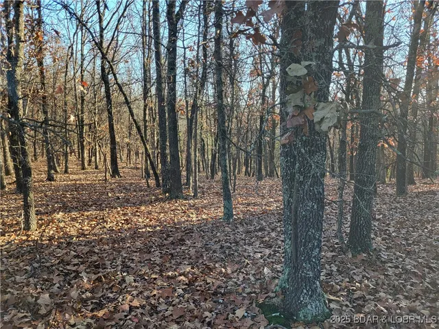 $24,500 | Wolcott Circle, Unit 3823 3824 & 39123915, Edwards, MO 65326