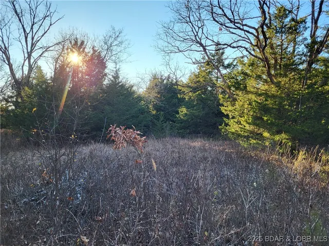 $24,500 | Wolcott Circle, Unit 3823 3824 & 39123915, Edwards, MO 65326