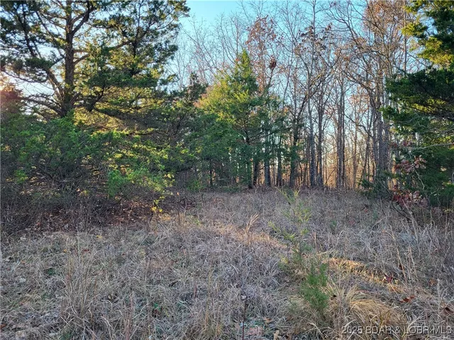 $24,500 | Wolcott Circle, Unit 3823 3824 & 39123915, Edwards, MO 65326