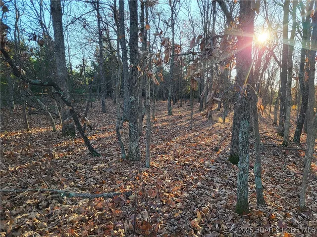 $24,500 | Wolcott Circle, Unit 3823 3824 & 39123915, Edwards, MO 65326