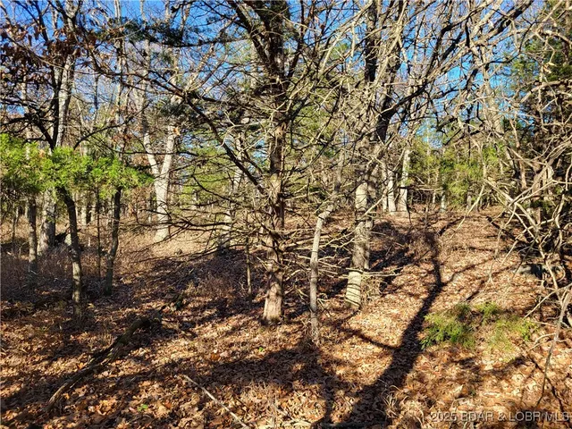 $24,500 | Wolcott Circle, Unit 3823 3824 & 39123915, Edwards, MO 65326