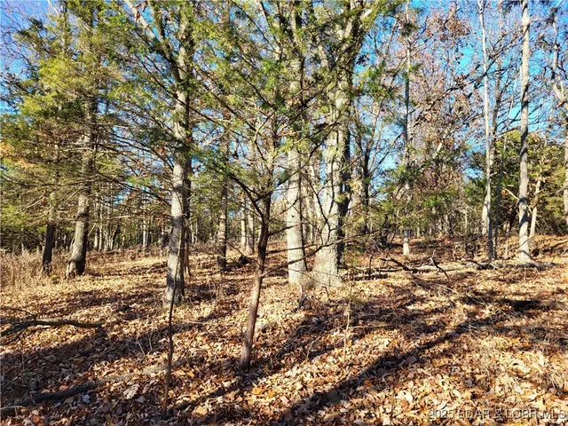 $24,500 | Wolcott Circle, Unit 3823 3824 & 39123915, Edwards, MO 65326