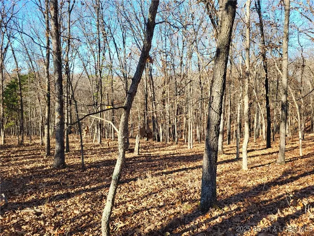 $24,500 | Wolcott Circle, Unit 3823 3824 & 39123915, Edwards, MO 65326